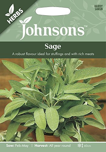Johnsons 16875 Herb Seeds, SAGE