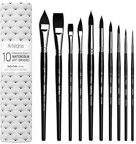 ARTEGRIA Aquarellpinsel-Set, 10 professionelle Pinsel aus weichem synthetischem Eichhörnchenhaar, darunter Rundpinsel, Flachpinsel, Dolchpinsel und Ovalpinsel