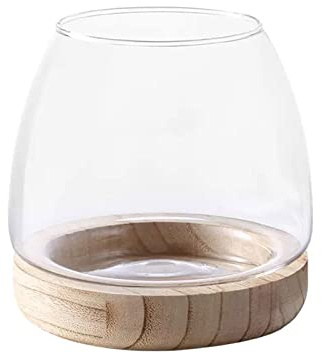 Bocal à Poisson en Verre avec Base en Bois Détachable, Petit Terrarium Vase Hydroponique pour Plantes, Aquarium écologique, Vase à Fleurs en Verre