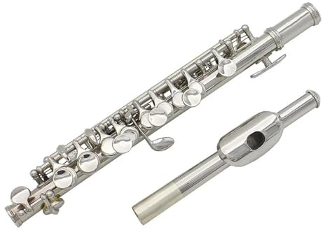 Querflöte Anfänger C-Klappe Piccoloflöte Halbgroße Flöte Versilbertes Messing-Piccolo Mit Lederetui
