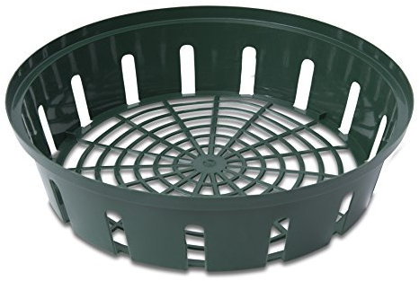 Windhager Blumenzwiebel-Schale, Pflanz- und Anzucht-Schale, Zwiebel-Pflanzkorb, Blumenzwiebelkorb, rund, Durchmesser 22 cm, 3 Stück