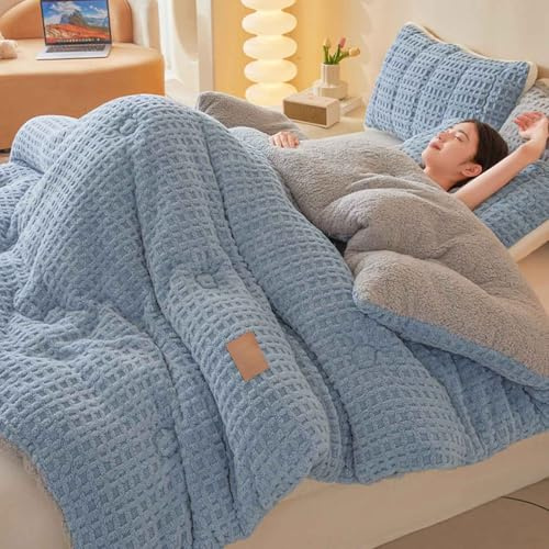 HLTQL Piumino in Velluto di Latte, piumone Invernale Spesso, Coperta Molto Calda e Super Morbida per 2 Persone, Trapunta in Microfibra, piumone Trapuntato Reversibile(01,150x200cm/2kg)