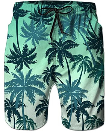 Fanient badbyxor för herr 3D tryckt rolig grafik badshorts snabbtorkande strandkläder sport löpning bad strand surfbräda shorts, Hawaii 1, XL