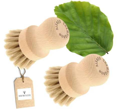 HOFMEISTER® - 2 spazzole per funghi, per la pulizia delicata di funghi o verdure, in morbido crine di cavallo e legno di faggio