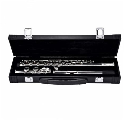 RiToEasysports Silberbeschichtung 16 Tasten Geschlossene Loch C Key Flöte für Anfänger mit Lederbox, Silberbeschachter Flöte für Musikbegeisterte