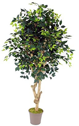 kunstpflanzen-discount.com Ficus Kunstbaum Premium 175cm Echtholzstamm mit Ästen