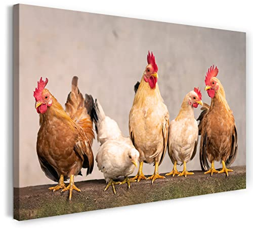 Printistico Leinwandbild (120x80cm) Hühner auf dem Zaun, Bauernhof Hahn Natur, warme Farbe, Tier-Fotos, Natur-Fotografie, echter Holz-Keilrahmen inkl. Aufhänger, handgefertigt in Deutschland