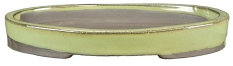 Geosism & Nature Sottovaso per bonsai ovale in gres smaltato verde 21x13x2 cm - BJA17a