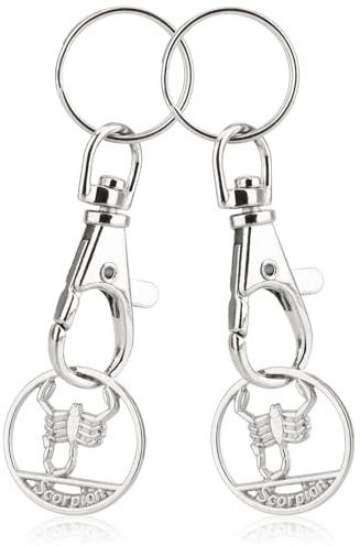 Robin Goods® 2X Porte-clés Signe du Zodiaque Scorpion Puce de Panier, Pendentif Signe du Zodiaque pour Le Panier avec Puce de Courses Amovible, Mousqueton et Porte-clés (Scorpions 2X)