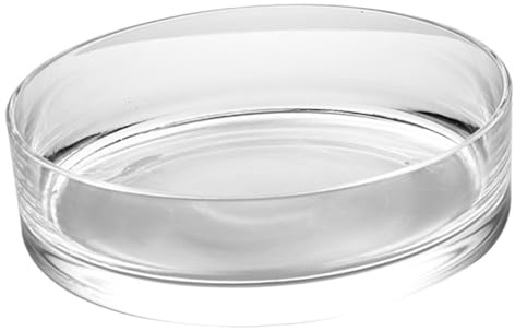 Angoily Pot de Fleurs en Verre Hydroponique pour Jardinière Intérieure, Grand Vase Transparent 20x20x8 Cm, Terrarium Rond Multifonction pour Culture de Plantes Aquatiques et Décoration