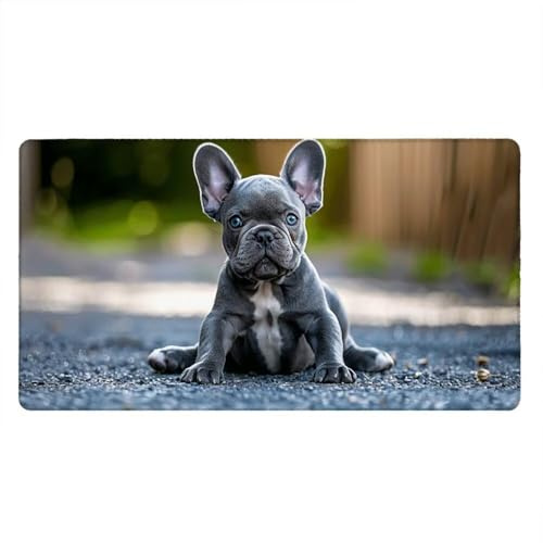 Tapis de Souris Gamer, 2000x1000mm Tapis de Souris XXL Gaming Grand, Clavier Lavable Desk Mat Bureau Caoutchouc Antidérapant Étanche, Bords Cousus, Gamer Ordinateur PC, Animaux Chiens xR5-148