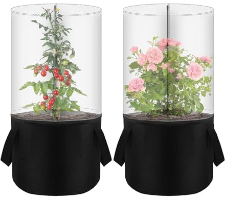 Mini Serra - 40x40cm Copertura Protettiva Vasi Fiori, Protezione Freddo Vasi Giardino, Telo Serra Mini Per Piante | Casa Per Balcone Interno Esterno Inverno Coltivazione Sementi