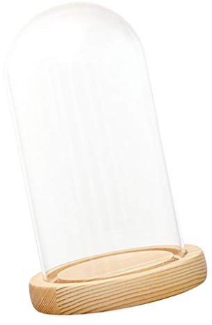 LOVIVER Klarglas LED Holzboden Microlandscape, D 10x18cm