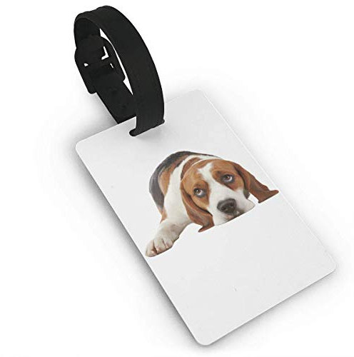 Gepäckanhänger mit Handschlaufe, langlebig, Basset Hound Hund, Reisekoffer, Taschenanhänger, Identifizierungsetikett