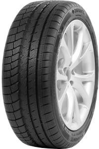 DAVANTI - 225/55 R16 TL 99V WINTOURA+ XL BSW M+S 3PMSF - Winterreifen