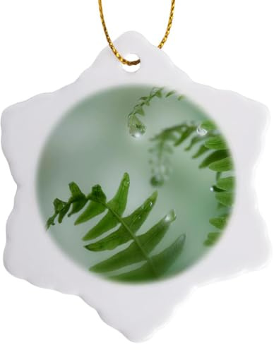 3 inch Snowflake Porcelain Ornament - USA, Washington, Seabeck. Close-up of dewy Deer Ferns. Jaynes Gallery - Plants