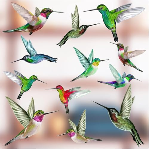 12 x Mixed Humming Bird Window Stickers to Deter Birds Flying into Glass | Decorative Anti Collision Window Stickers | Easy Install | Double Sided | Moveable | Static Cling Window Stickers