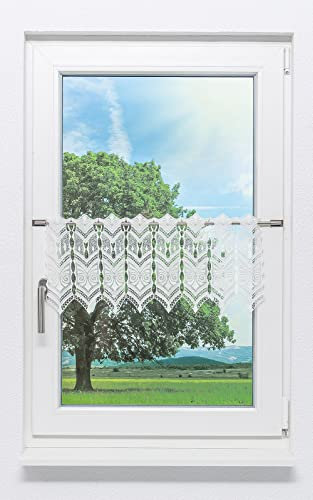 Plauener Spitze Scheibengardine Spitze (Bx H) 64cm * 30cm weiß