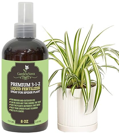 GardenNova Professional Spider Plant Spray Fertilizer Mist for Home Gardening | 3-1-2 Gentle Blend Mist for Healthy Leaves & Growth | Essential Nutrients for Spider Plants - 8oz
