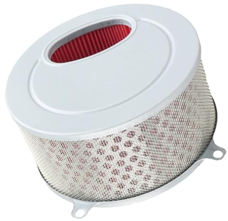 Kacepar Filtro Aire, Filtro de Aire Moto 17213-BA1-0000, Filtro de Admisión de Aire para Motocicleta, Repuesto Compatible con Daelim Daystar VL 125