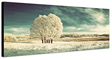 Augenblicke Wandbilder Keilrahmenbild Wandbild 150x50cm Winterlandschaft Wiese Baum Schnee Wolken