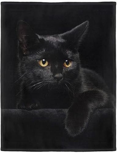 YISUMEI - Soft Fleece Blanket - Black Cat, 80 x 120 cm Throw Suitable for Sofa or Bed