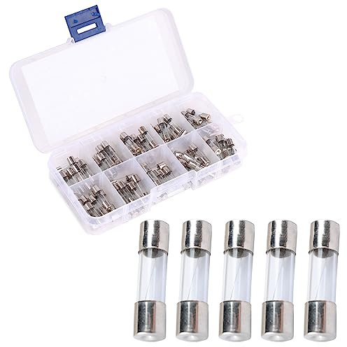 Golpe Rápido Fusibles de Vidrio, Tubo de Vidrio de Soplado Rápido, 10 tipos (0.25A, 0.5A, 1A, 2A, 3A, 5A, 8A, 10A, 15A, 20A), 100 piezas