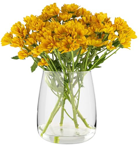 TREND FOR HOME Glasvase groß H: 22,7 cm Vase für Pampasgras Glas, Blumenvase für Pampasgras, Vasen Glas für Hochzeitstulpen Weite Öffnung, Ø 19 cm, Zinnie