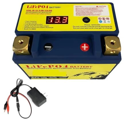 12V Motorcycle Starter Battery LiFePO4 Lithium Iron Phosphate Battery Built-in BMS 8Ah/12Ah CCA 180A-620A compatible with ATV/UTV High efficiency and durability(14L-BS N-P)
