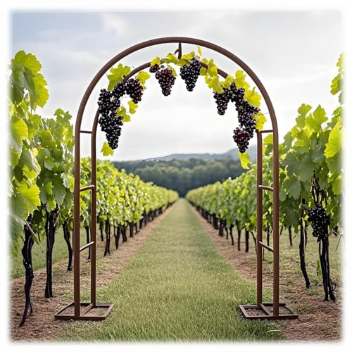 Stahl-Gartenbogen-Spalier für Kletterpflanzen, 1,4 m bis 2,4 m, Metall-Laube für Hochzeitszeremonie & Partydekoration, Bronze, Pergola für Weinrebe und Gemüse, Innen- und Außenbereich