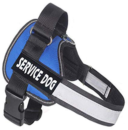 NX Verstellbares Nylon-Hundegeschirr, reflektierend, personalisiertes Hundegeschirr und Leine, für Hundeweste, Ausweis, personalisierbar, Größe XXL, Blau