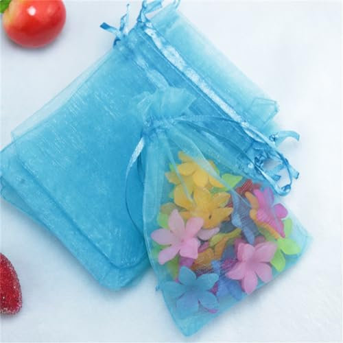 10 Stück 20x30cm Organzasäckchen OrganzaBeutel Geschenktüten Gross Organza Säckchen Trauben Schutzbeutel mit Zugband Tunnelzug Säckchen Groß für Schmuck Geschenke Süßigkeiten Hochzeit (blauer See)