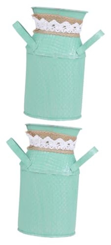 Alipis 2st Sukkulenten-töpfe Mittelstücke Blumenvase Blumentöpfe Für Den Außenbereich Rustikales Mini-wasserkocher Alte Milchkannen Blumentopf Zinn Anlage Blumengefäß Eisen