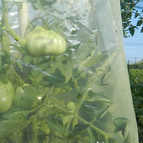 Tenax Tomato Film 0,60x10 m Jaune, Film Tubulaire pour la Culture des Tomates, pour Favoriser et Accélérer la Croissance des Tomates (Contient 10 Liens en Plastique pour Fermer Le Tubulaire)