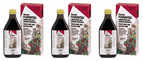 (3 PACK) - Floradix - Floravital Yeast And Gluten Fr | 250ml | 3 PACK BUNDLE