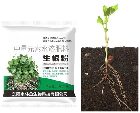 Polvere Radicante - Fertilizzante Per Talee Da Giardino,Polvere Radicante Per Le Piante | per Giardino Agricoltura Alberi da Frutto Patio Prato Terreno Piante da Interno Casa