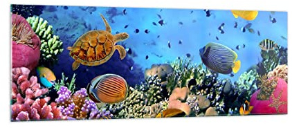 ARTTOR Glasbild 140x50cm Wandbild Glasdruck Natur Reisen - 3569 | Koralle Riff Panorama Groß XXL Modern Dekoration Wohnzimmer Schlafzimmer Küche Wanddeko Kunstdruck Art Wall Decor ARTTOR