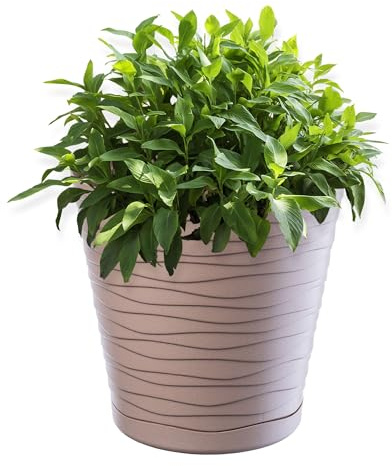 KADAX Blumentopf mit Untersetzer, Pflanzkübel für Innen, Leichter Blumenkübel, Pflanztopf aus Kunststoff, runder Übertopf für Blumen, Pflanzen, Haus, Pflanzgefäß (13cm, Beige)
