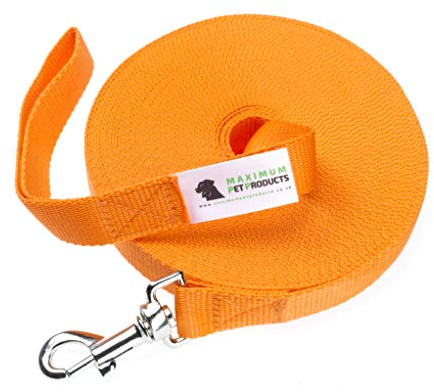 Maximala husdjursprodukter 30 ft 9 M hund- och hästträning lungbly. 25 mm - 1 tum bred. Mycket stark, Orange