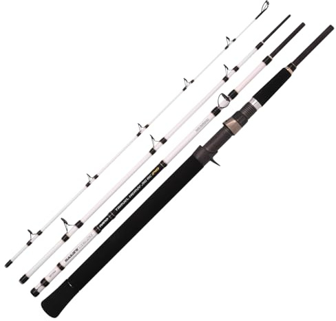 Spro Salty Beast Nano Mega Jig Travel BC 240cm 450g - Meeresrute, Reiserute, Baitcasterrute, Spinnrute, Pilkrute, Salzwasserrute, Rute zum Hochseeangeln, Jigrute