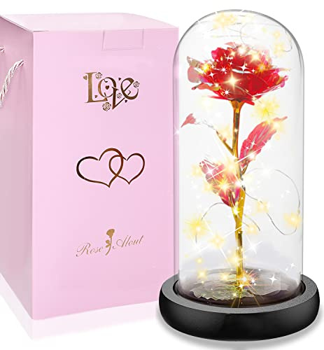 Rose Eternelle sous Cloche, Enchantée La Belle et la Bête Eternelle Rose Galaxy Dôme en Verre avec Lumières LED, Idée Cadeau Femme, Maman, Noël, Fête des Mères