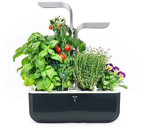 Véritable® Smart (Soft Black Version) - Potager d’Intérieur Fabriqué en France – Jardin Autonome Intelligent avec sa Technologie Adapt’Light - Livré avec 4 Lingots®