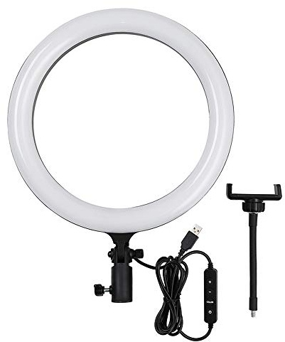 GODOX LR120 12 Inch LED Ring Light Photography Light Fill-in Light 3000K-6000K Bi-Color Temperature Adjustable Brightness USB Powered with Phone Holder for Live Streaming Selfie Makeup Photography