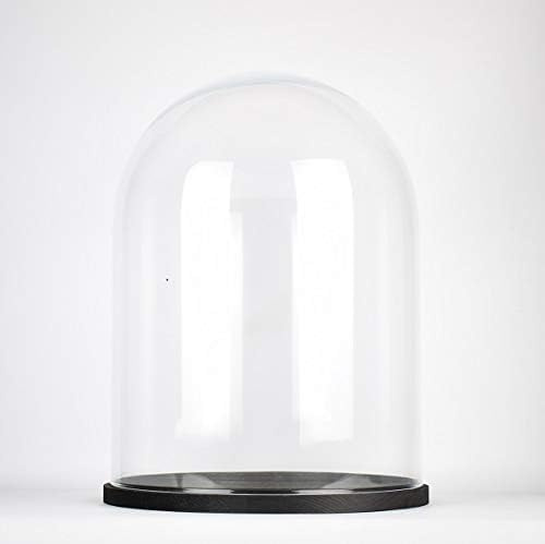 EMH Grande cloche dôme de présentation en verre transparent circulaire faite à la main avec base en bois noir 36 x 25 cm