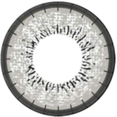 Matlens – EOS Farbige Kontaktlinsen ohne Stärke circle lenses gray grau J-203 2 Linsen 1 Kontaktlinsenbehälter 1 Pflegemittel 50ml 000