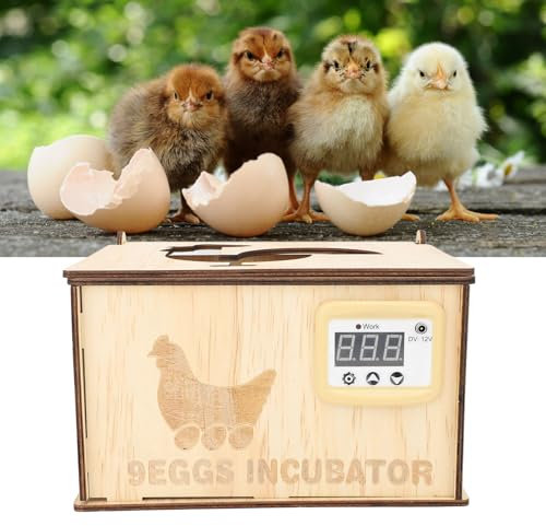 Eierbrutkasten aus Holz Zum Ausbrüten von Eiern, Stabile Konstante Temperatur, Wasserbett mit Hoher Kapazität, EU-Stecker 250 V (2 Batterien)