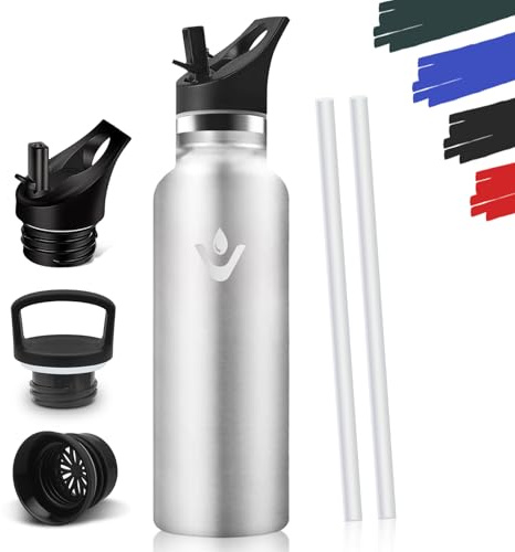 Trinkflasche 750ML, BPA-Frei, Trinkflaschen, Auslaufsichere Isolierflasche Doppelwandig, Wasserflasche, mit Strohhalm, 18/8 Edelstahl, Thermoflasche Kohlensäure Geeignet - Edelstahl
