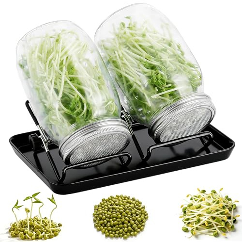 LEBOKJ Lot de 2 Pots de Germination 750 ML + Plateau, Pots de Germination en Verre pour semences, couvercles en Maille Inoxydable 304, kit de Germination Domestique sain et écologique
