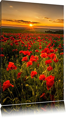 Pixxprint Wunderschöne Mohnwiese im Sonnenuntergang, Größe: 80x60cm, Leinwandbild, fertig gespannt, Wandbild, Dekoration, Kunstdruck, kein Poster