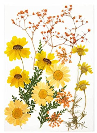 EIOLWJIEO Natürliches getrocknetes Blumenharz, handgefertigte Trockenpflanzen, Hochzeitsfeier, Dekoration, Tischdekoration, DIY Aufkleber, Aromatherapie Kerze, Halskette, Geben Sie 5 ein